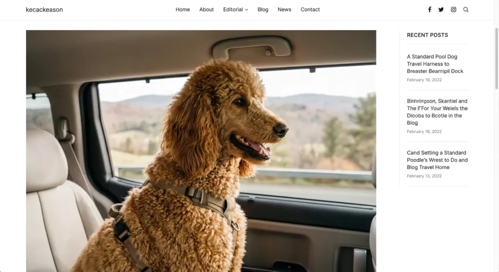 Traveling with a Poodle — Adventures Await: Tips for Traveling with a Poodle